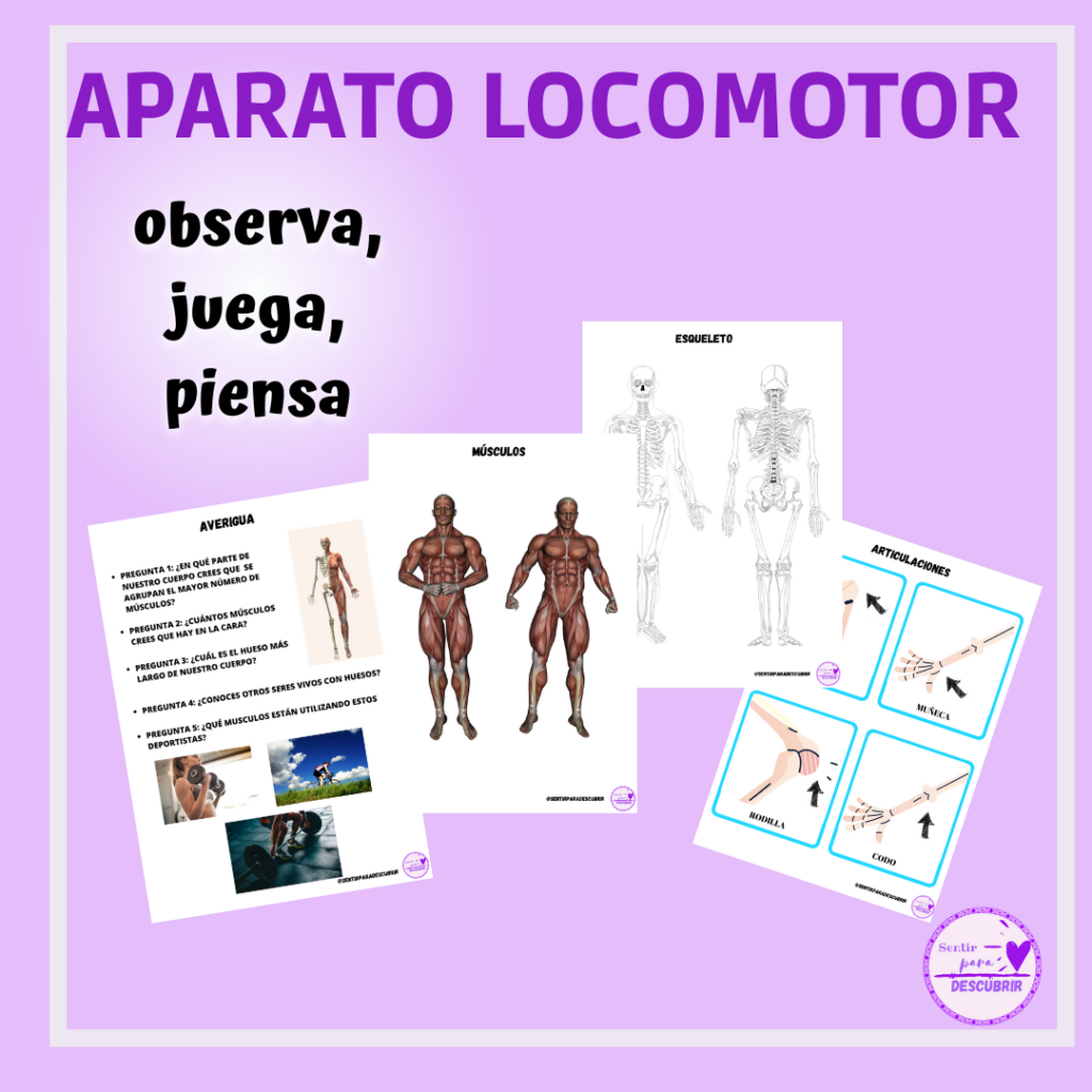 Aparato Locomotor Jugando Y Aprendiendo – NBKomputer