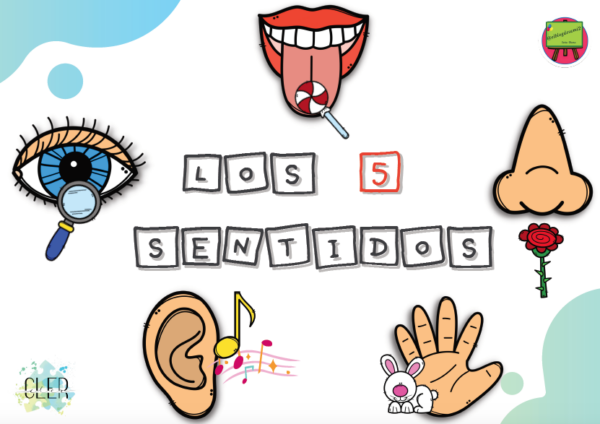 CUADERNO LOS 5 SENTIDOS - Aula En Juego