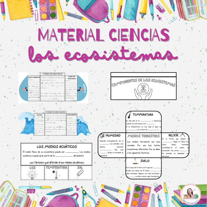 Los ecosistemas