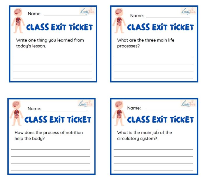 Exit tickets-human body
