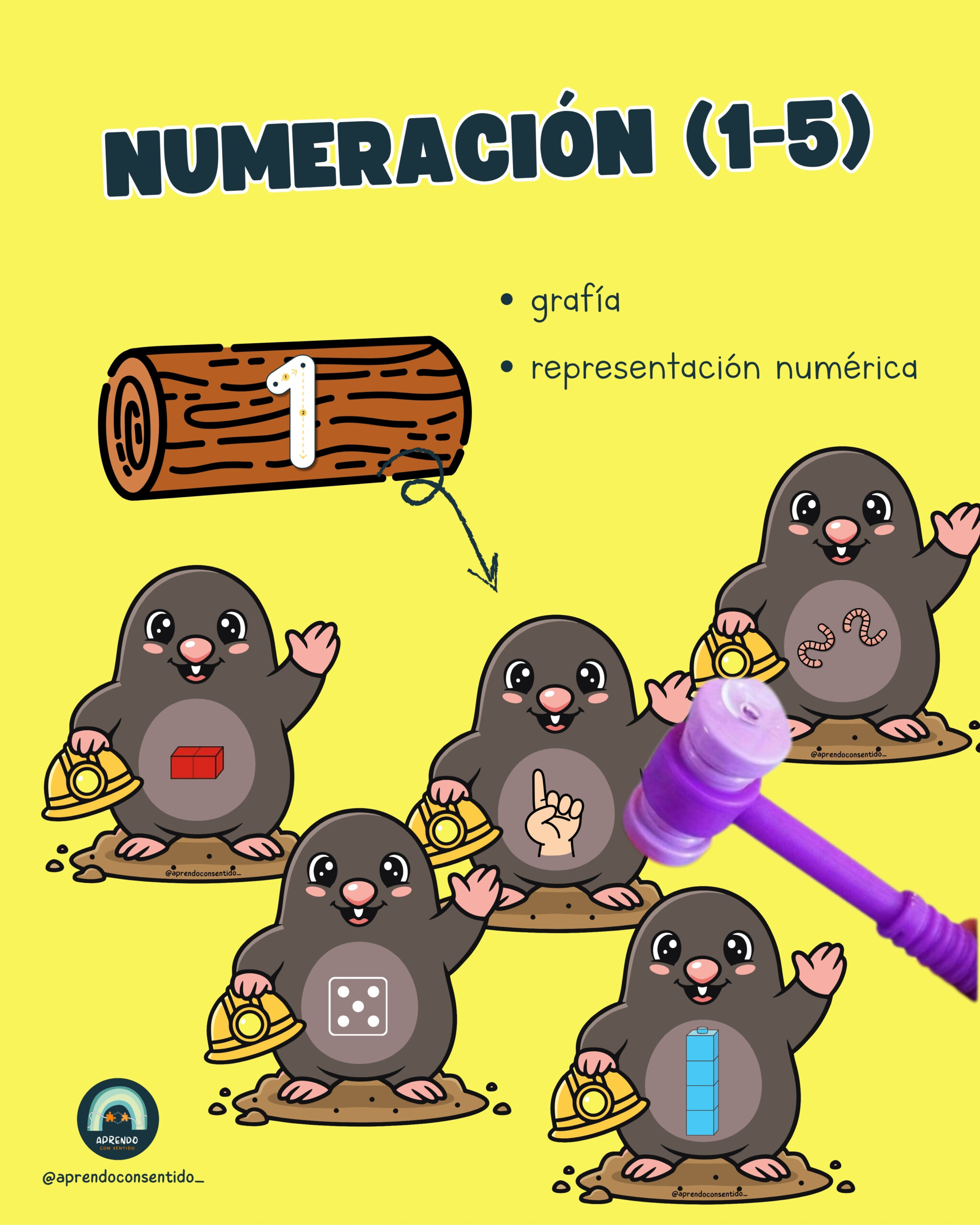 TOPOS NUMÉRICOS